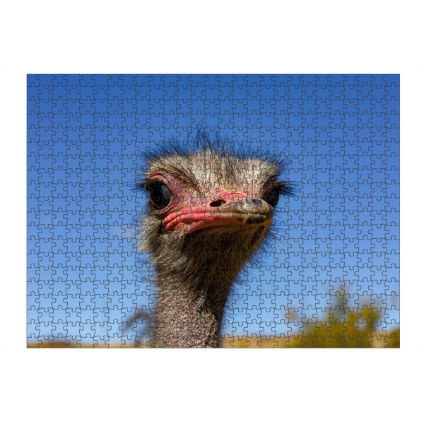 artboxONE Puzzle "Vogel Strauß" artboxONE - Tiere,Reise / Afrika - Strauß,Namibia,Vogel,Kopf,Schnabel,Gesicht,Tier,Wildlife,Wildtier,Savanne,Afrika