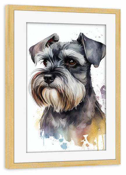 Poster mit Rahmen kiefer "Zwergschnauzer-Porträt" artboxONE - Tiere