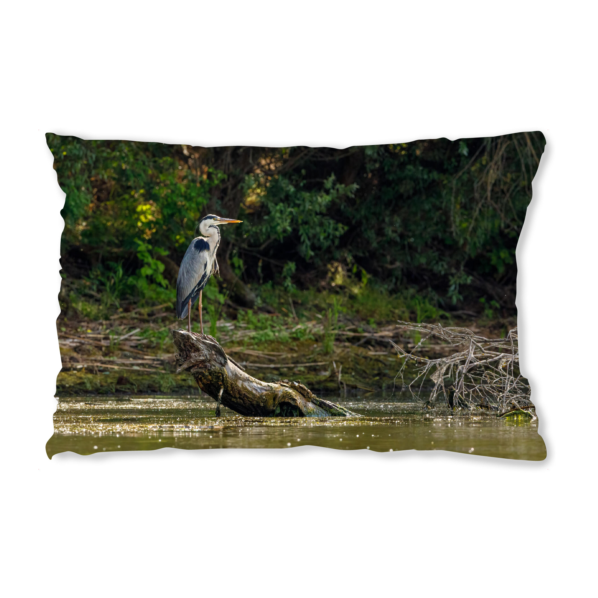 Design-Kissen "Graureiher im Sumpf" artboxONE - Natur,Tiere - Reiher,Graureiher,Fischreiher,Wildlife,Vogel,Donaudelta,Sumpf - Bild reiher