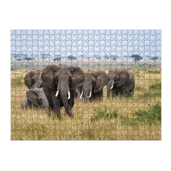 Puzzle Ravensburger "Elefanten Herde" artboxONE - Tiere,Reise / Afrika