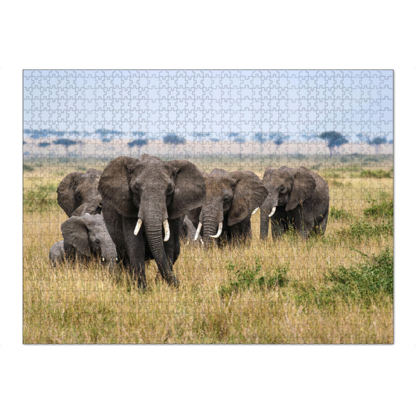 Puzzle Ravensburger "Elefanten Herde" artboxONE - Tiere,Reise / Afrika