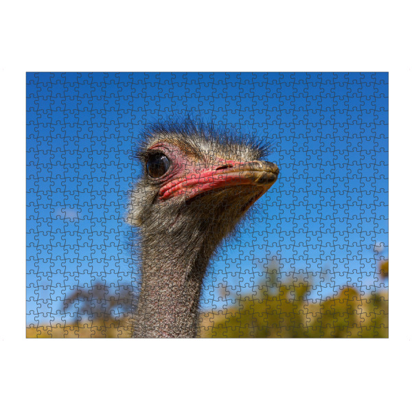 Puzzle Ravensburger "Kopf vom Vogel Strauß" artboxONE - Tiere,Reise / Afrika