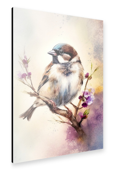 Alu-Dibond "Haussperling Aquarell" 30x20 cm artboxONE
