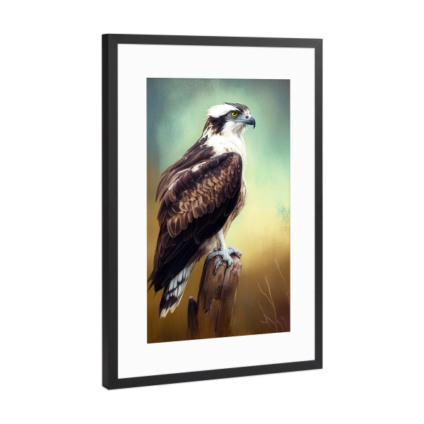 Poster mit Rahmen Schwarz (Metallic) "Fischadler-Aquarell" artboxONE - Tiere