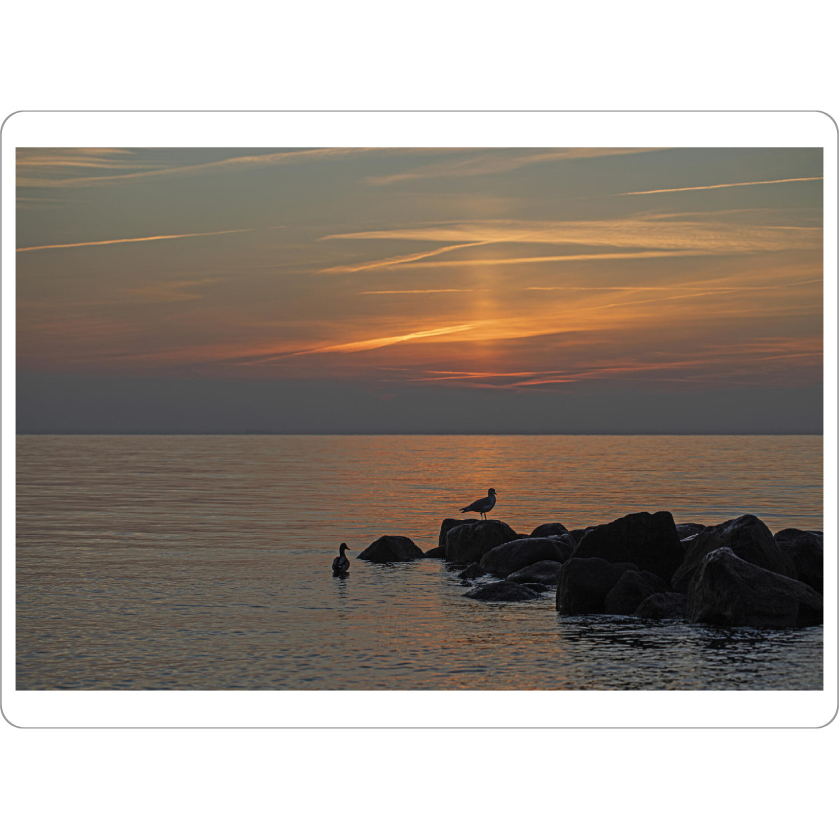 Tischset "Wenn der Tag beginnt" artboxONE - Natur,Reise,Reise / Strand und Meer - Sonnenaufgang,Steine,Vögel,Meer,Lichtstimmung,Urlaubsstimmung