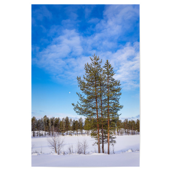Poster "Wolken, Schnee, Baum" artboxONE - Natur,Reise,Reise / Länder