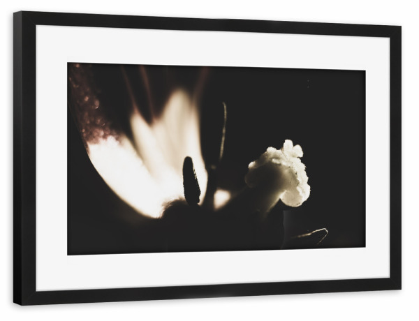 Poster mit Rahmen schwarz "Details" artboxONE - Natur,Floral,Für Mama