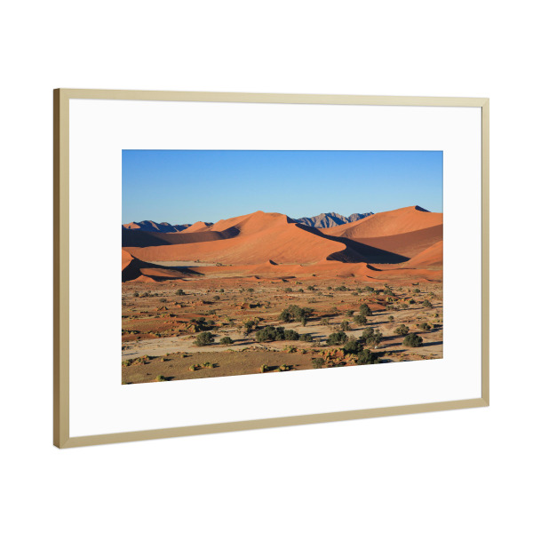 Poster mit Rahmen Gold "Die Dünen der Namib" artboxONE - Natur,Reise / Afrika