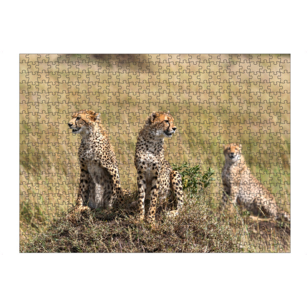 artboxONE Puzzle "Geparden in Afrika" artboxONE - Tiere,Reise / Afrika