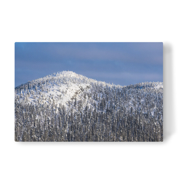 Leinwandbild "Berg, Schnee, Wald" artboxONE - Natur,Reise,Reise / Länder