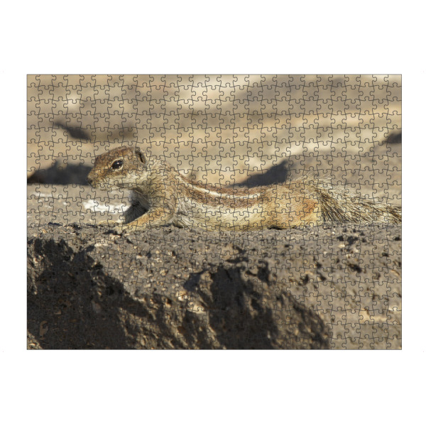 Puzzle Ravensburger "Atlas-Streifenhörnchen chillt" artboxONE - Natur,Tiere,Reise / Strand und Meer,Reise / Länder