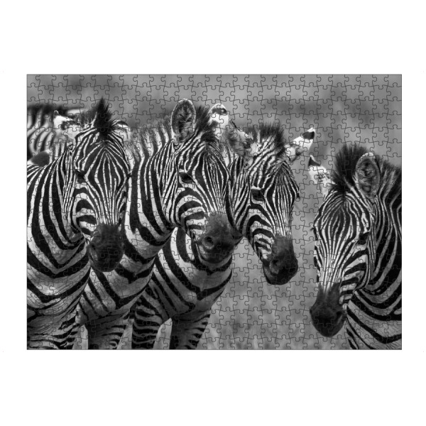 Puzzle Ravensburger "Zebras in der Wildnis" artboxONE - Tiere,Reise / Afrika