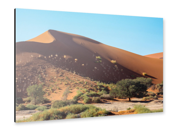 Alu-Dibond "Die Dünen des Sossusvlei" 30x20 cm artboxONE