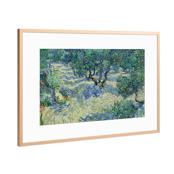 Poster mit Rahmen Kupfer "Olivenhain" artboxONE - Natur,Reise,Reise / Länder,Für Mama,Für Papa