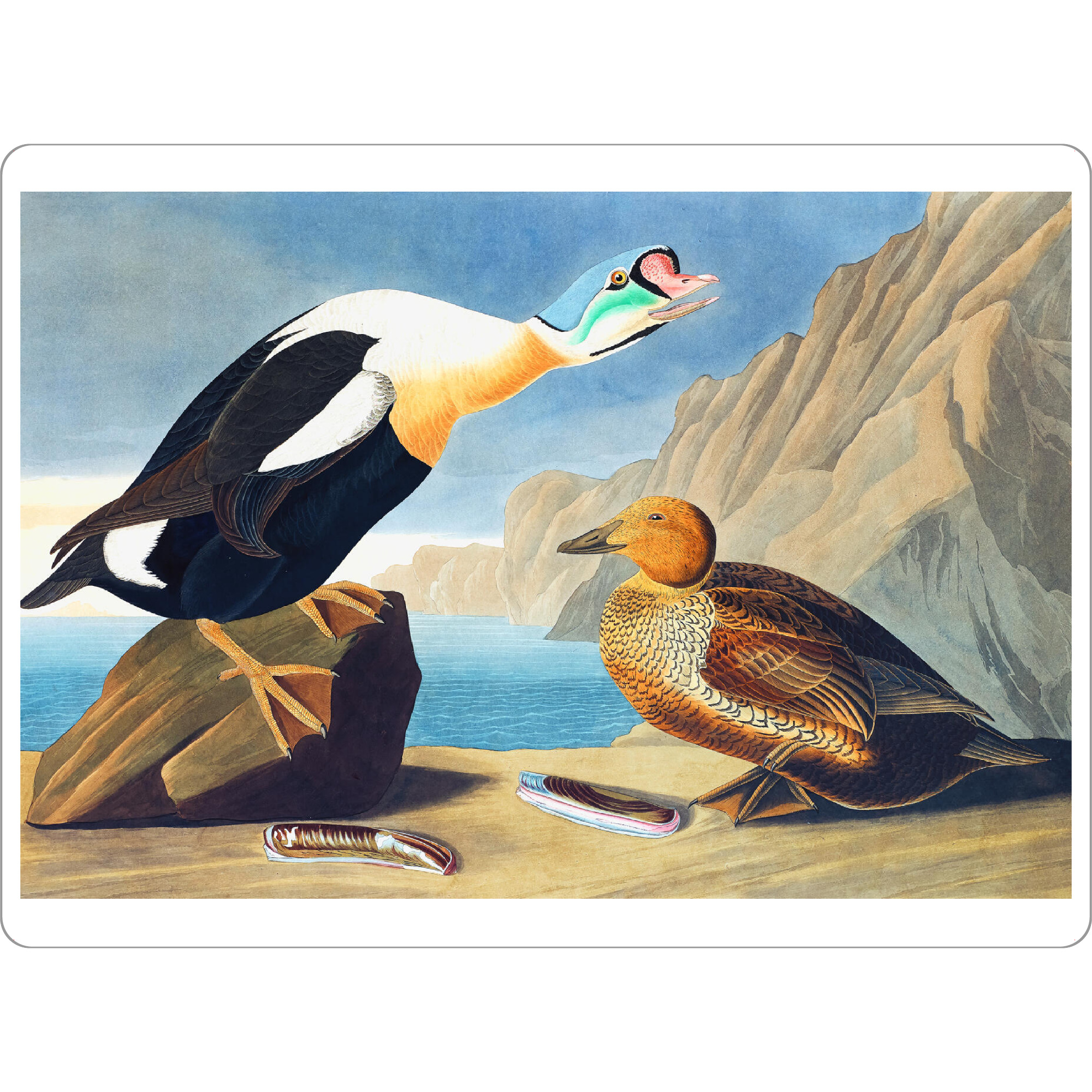 Tischset "König Ente" artboxONE - Natur,Für Kinder,Tiere,Für Mama,Für Papa