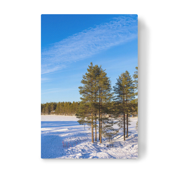 Leinwandbild "Bäume, Wald, Schnee" artboxONE - Natur,Reise,Reise / Länder