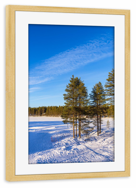 Poster mit Rahmen kiefer "Bäume, Wald, Schnee" artboxONE - Natur,Reise,Reise / Länder