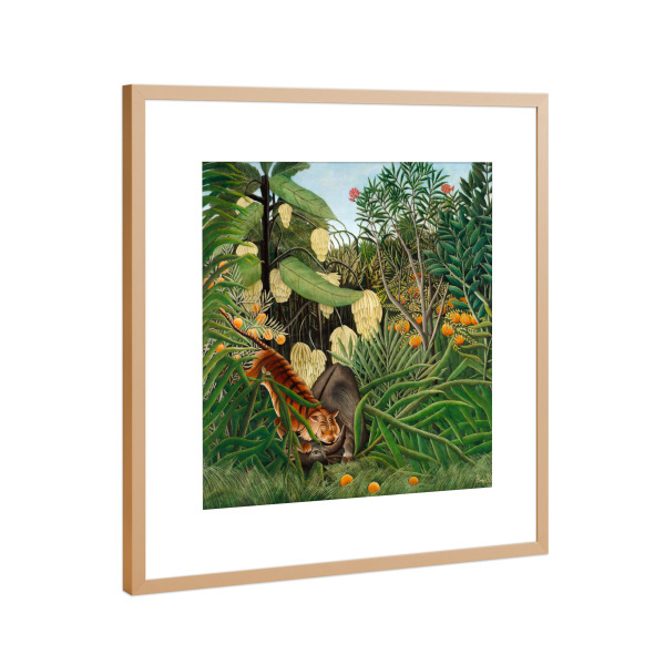 Poster mit Rahmen Kupfer "Tiger und ein Büffel kämpfen" artboxONE - Natur,Tiere,Reise / Afrika,Für Mama,Für Papa