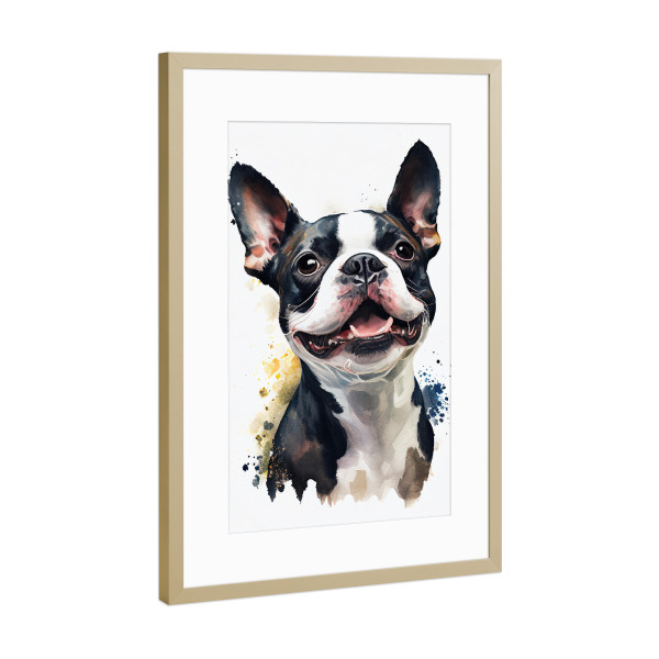 Poster mit Rahmen Gold "Boston-Terrier-Porträt" artboxONE - Tiere - Tier,Leinwand,Kunst,Leinwand,Bunte,Hübsch,Hund,Farbe,Malerei,Porträt,Aquarell,Weiß