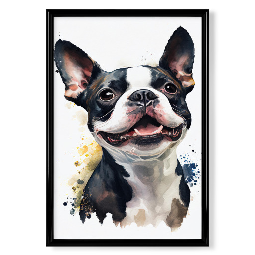 Boston-Terrier-Porträt