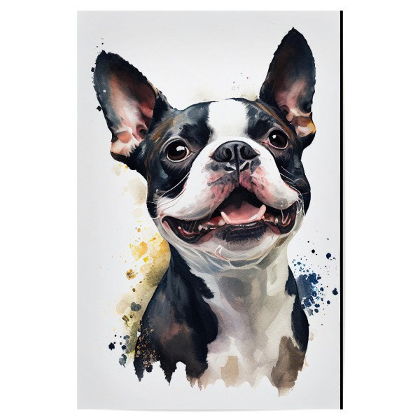Poster 30x20 cm "Boston-Terrier-Porträt" artboxONE - Tiere - Tier,Leinwand,Kunst,Leinwand,Bunte,Hübsch,Hund,Farbe,Malerei,Porträt,Aquarell,Weiß