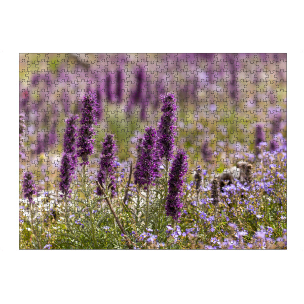 Puzzle Ravensburger "Die Natternkopf Blüte" artboxONE - Natur - Natternkopf,Blume,Blüte,Kanada,Rocky mountains,Blüten,Violett,Lila