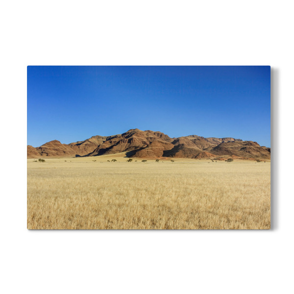 Galerie-Print "Die Savanne in Namibia" 30x20 cm artboxONE