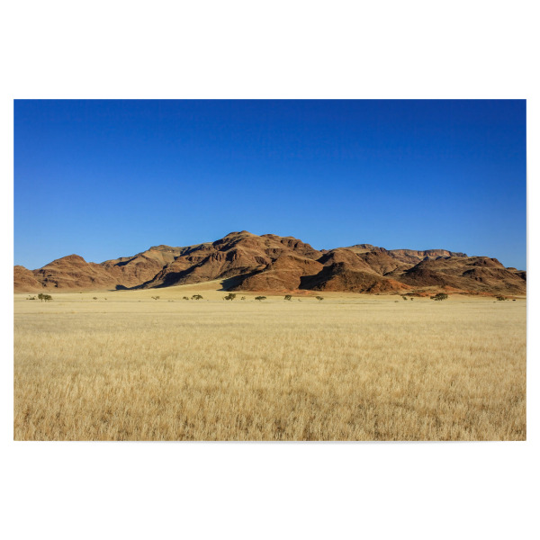 Poster 30x20 cm "Die Savanne in Namibia" artboxONE - Natur,Reise / Afrika - Afrika,Savanne,Namibia,Landschaft,Steppe,Natur,Tiere