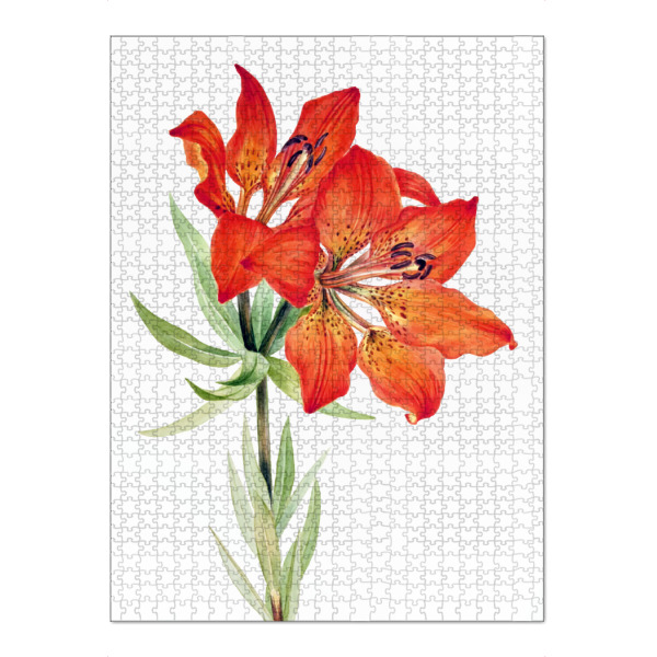 Puzzle Ravensburger "Abbildung der roten Lilie" artboxONE - Natur,Floral,Liebe