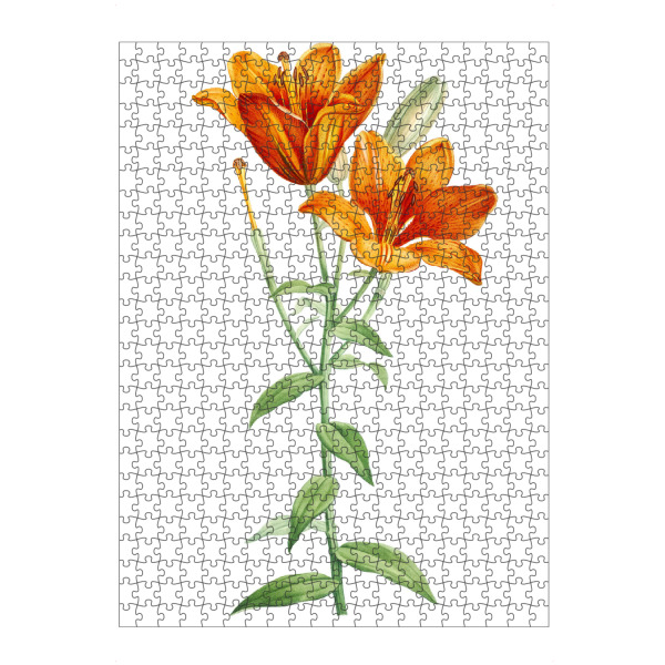 Puzzle Ravensburger "Orange Knollenlilie" artboxONE - Natur,Floral,Liebe,Für Mama,Für Papa
