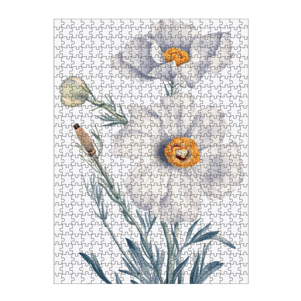 artboxONE Puzzle "Matilija Mohn" artboxONE - Natur,Floral,Liebe,Für Mama,Für Papa