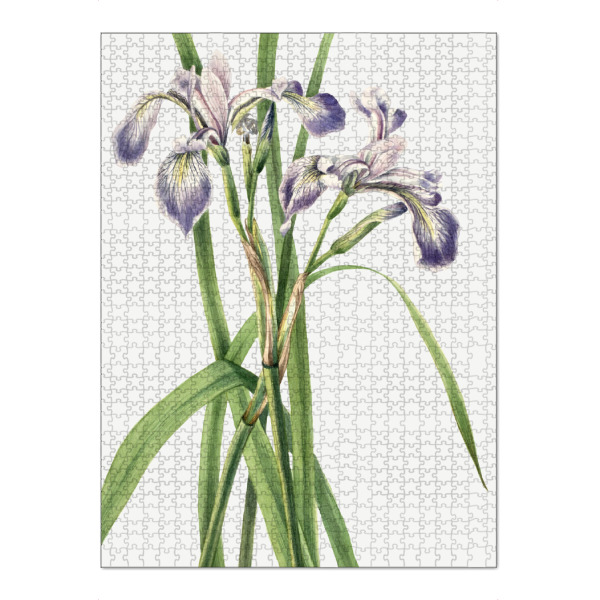 Puzzle Ravensburger "Blaue Flaggen-Iris" artboxONE - Natur,Floral,Liebe,Für Mama,Für Papa