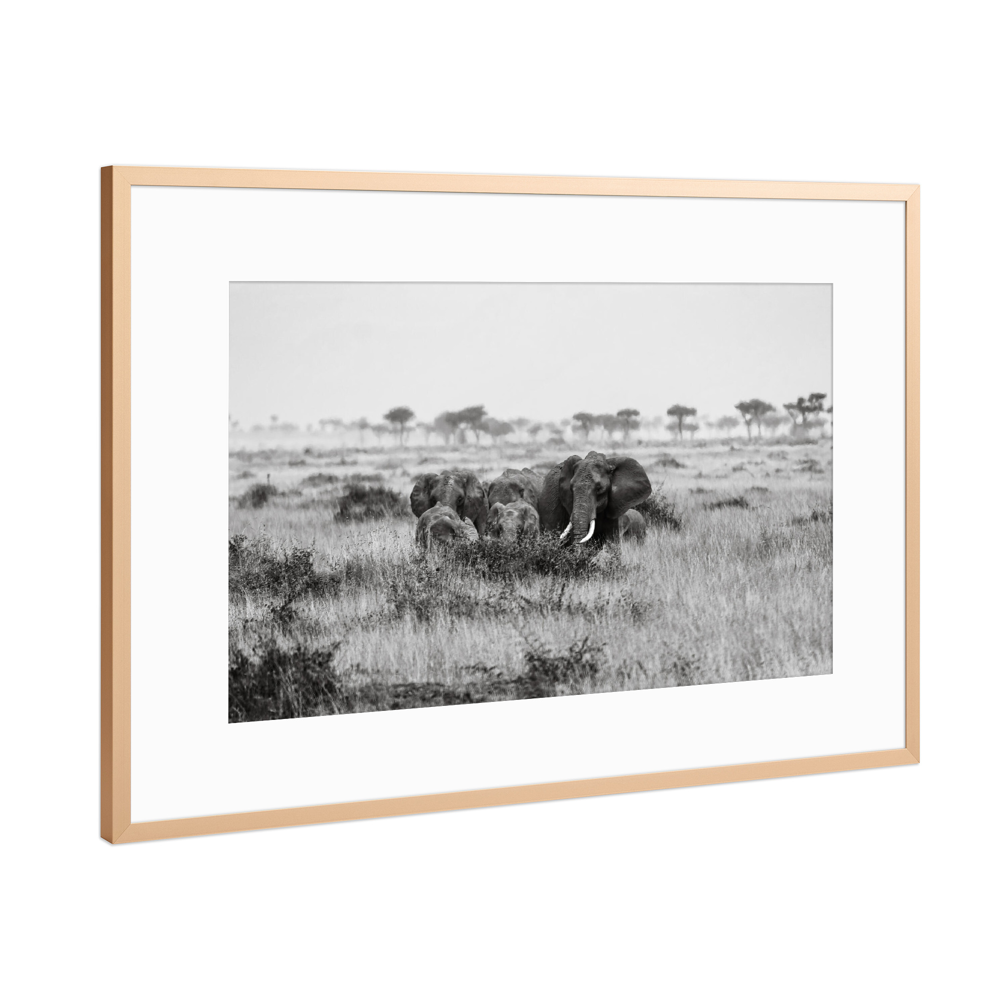 Poster mit Rahmen Kupfer "Elefantenerde in der Masai Mara" artboxONE - Natur,Tiere,Reise / Afrika