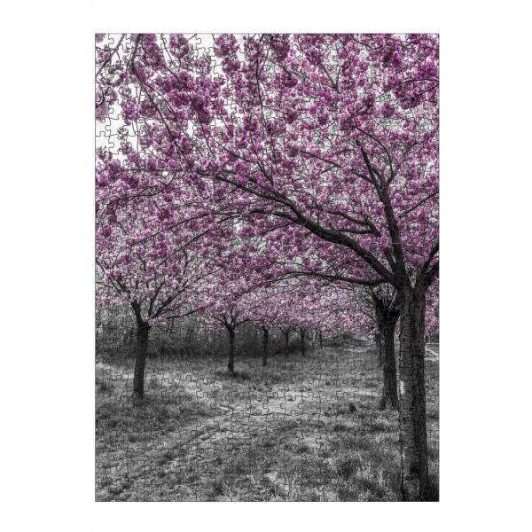 Puzzle Ravensburger "Prachtvolle Kirschbäume" artboxONE - Natur,Floral