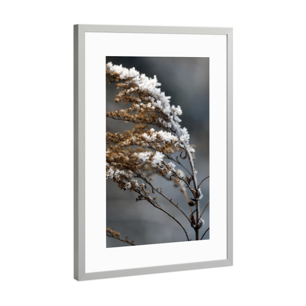Poster mit Rahmen Silber "Eisblumen Zweig Brauntöne Weiß" artboxONE - Natur,Floral