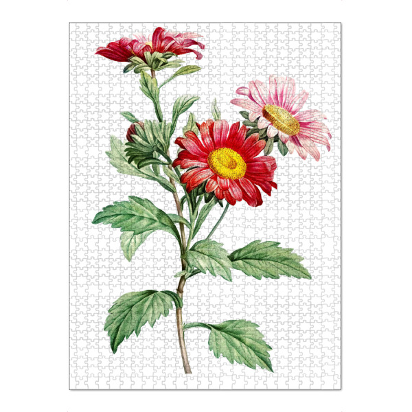 Puzzle Ravensburger "Abbildung der roten Aster" artboxONE - Natur,Floral,Liebe,Für Mama,Für Papa
