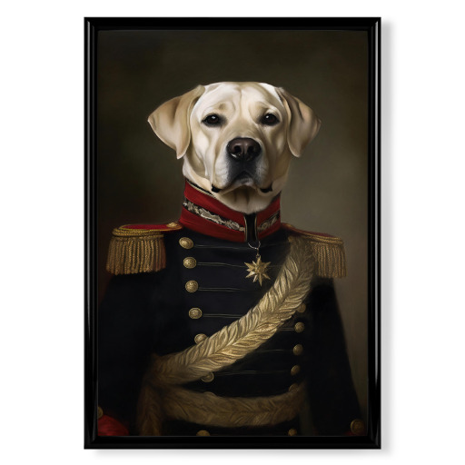 General Labrador