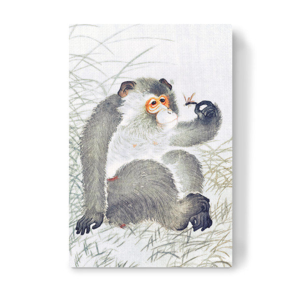 Leinwandbild "Affe mit Insekt" artboxONE - Natur,Für Kinder,Tiere,Reise / Asien