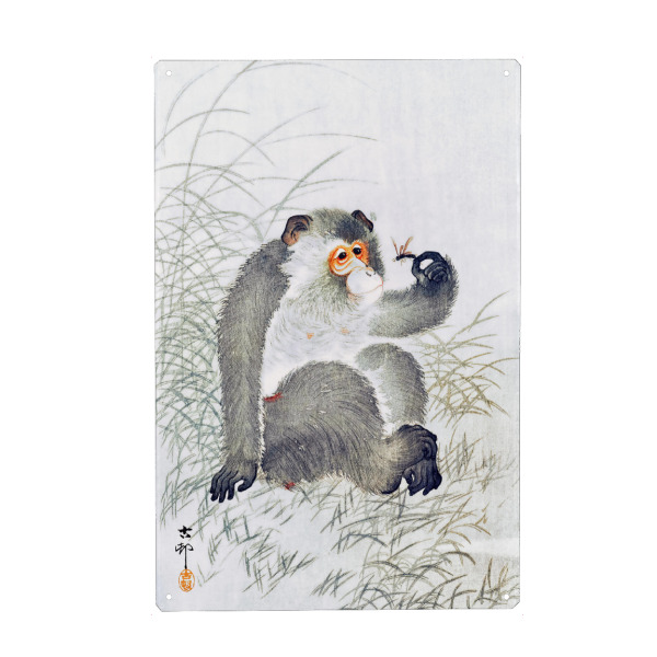 Metall Poster "Affe mit Insekt" artboxONE - Natur,Für Kinder,Tiere,Reise / Asien