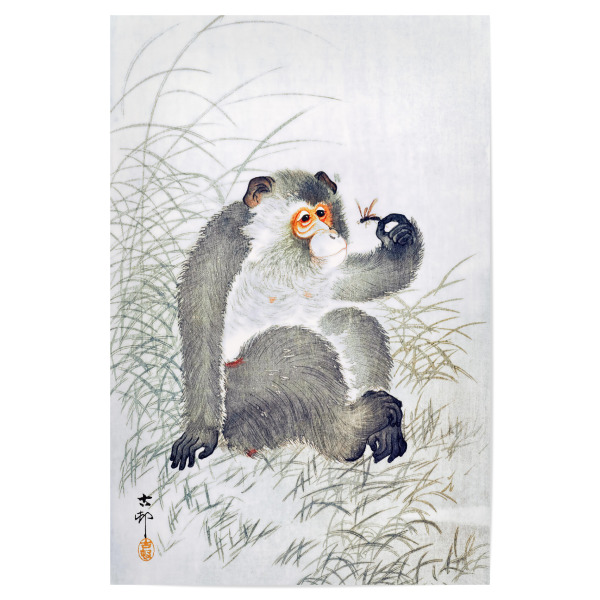Poster 30x20 cm "Affe mit Insekt" artboxONE - Natur,Für Kinder,Tiere,Reise / Asien