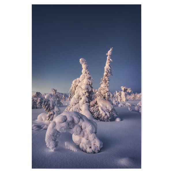 Poster 30x20 cm "Schneetrolle" artboxONE - Natur,Reise
