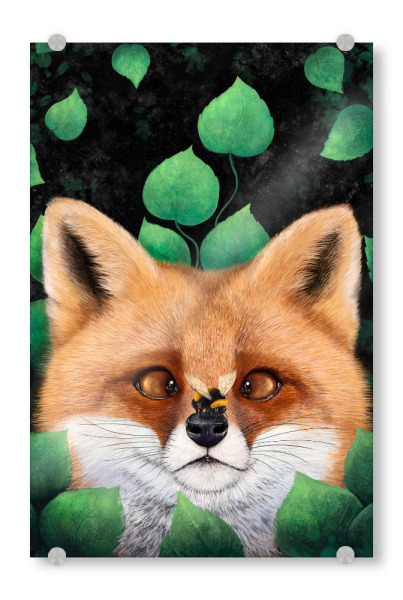 Acrylglasbild "Fuchs in den Blättern" artboxONE - Floral,Für Kinder,Tiere,Für Mama,Lustig