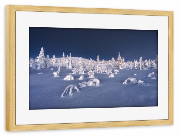Poster mit Rahmen kiefer "Schneelandschaft zur blauen Stunde" artboxONE - Natur,Reise