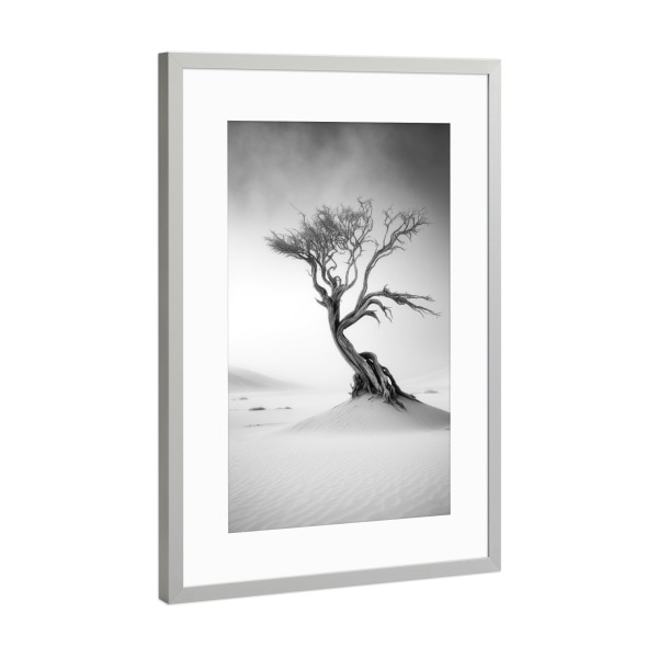Poster mit Rahmen Silber "Live in the Desert" artboxONE - Natur,Schwarzweiß
