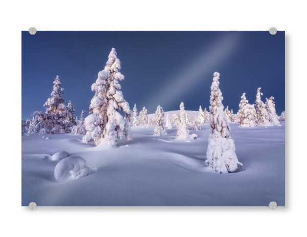 Acrylglasbild "Lappland zur blauen Stunde" artboxONE - Natur,Reise