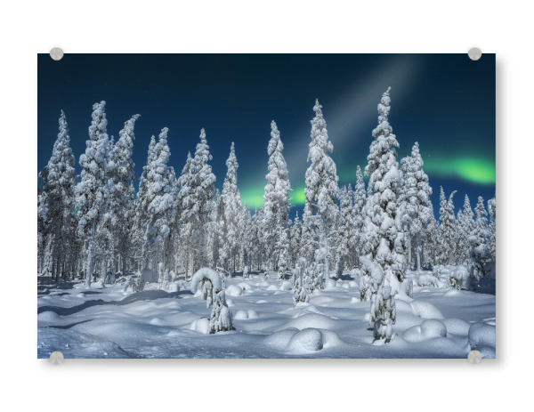Acrylglasbild "Speere aus Eis" artboxONE - Natur,Reise - Finnland,Lappland,Winter,Winterlandschaft,Schnee,Wald,Bäume,Tannen,Polarlicht,Nacht