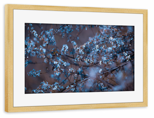 Poster mit Rahmen kiefer "Blütenfülle" artboxONE - Natur,Floral