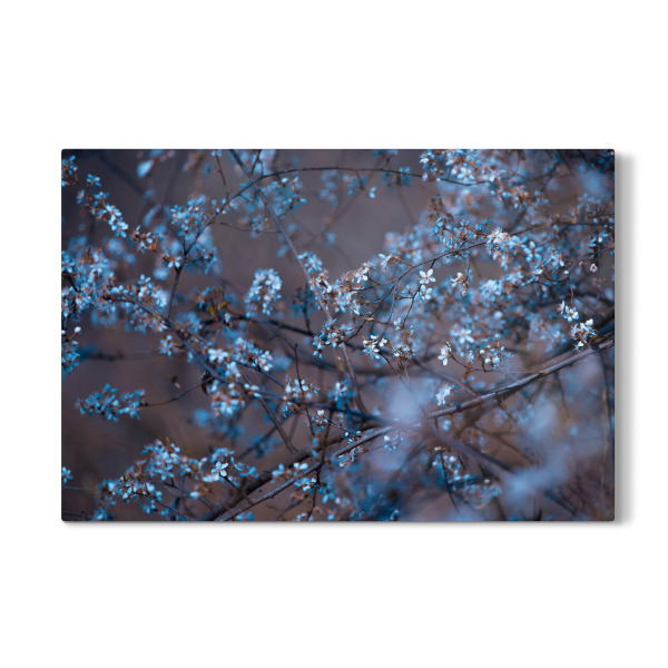 Galerie-Print "Blütenfülle" 30x20 cm artboxONE