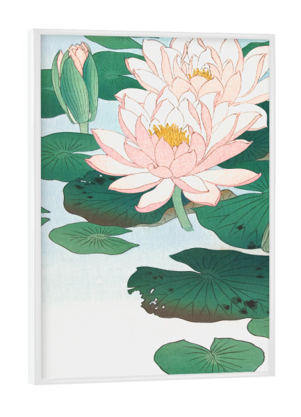 Poster mit weißem Rahmen "Seerose" artboxONE - Natur,Floral,Für Kinder,Reise / Asien,Für Mama