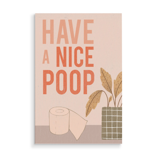 Have a NICE POOP - WC ART